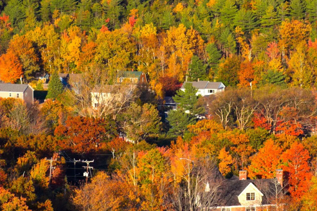 Bar Harbor Maine Fall Colors