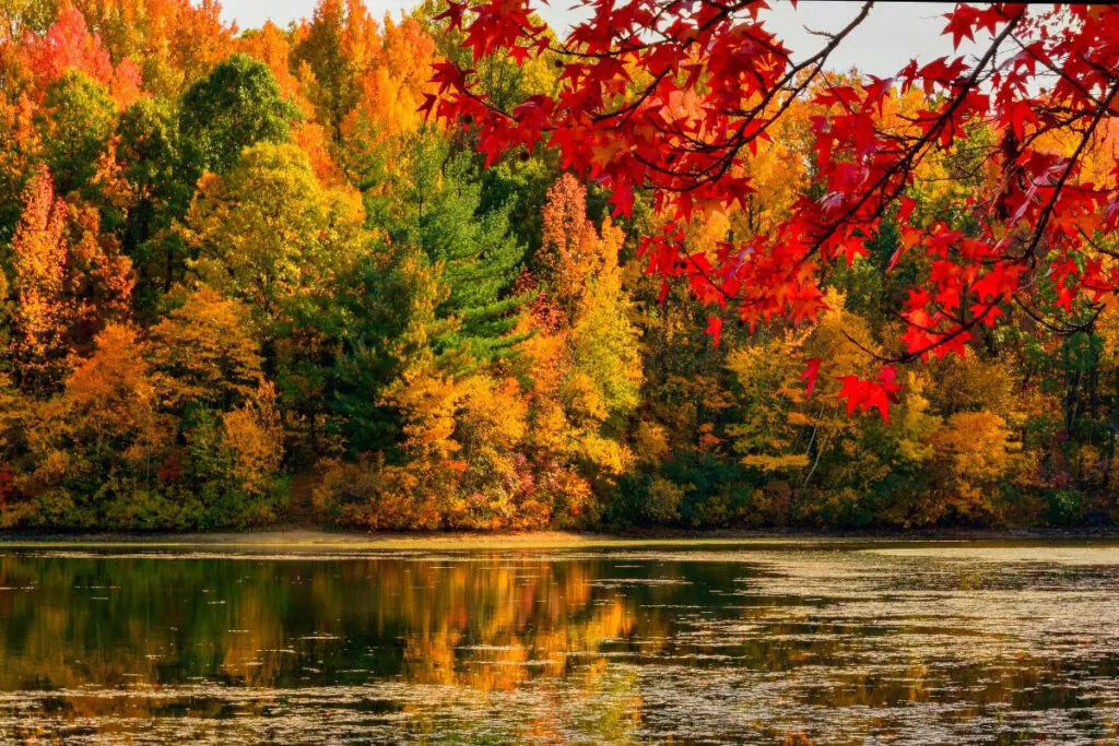 Beautiful Fall Colors