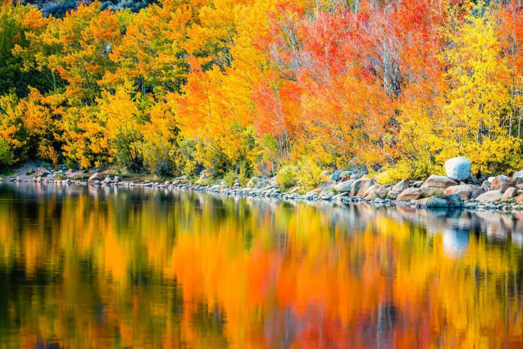 Bright Fall Colors Reflecting Off Water