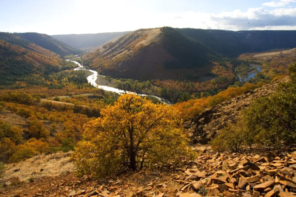 Columbia River Gorge Oregon Fall Colors
