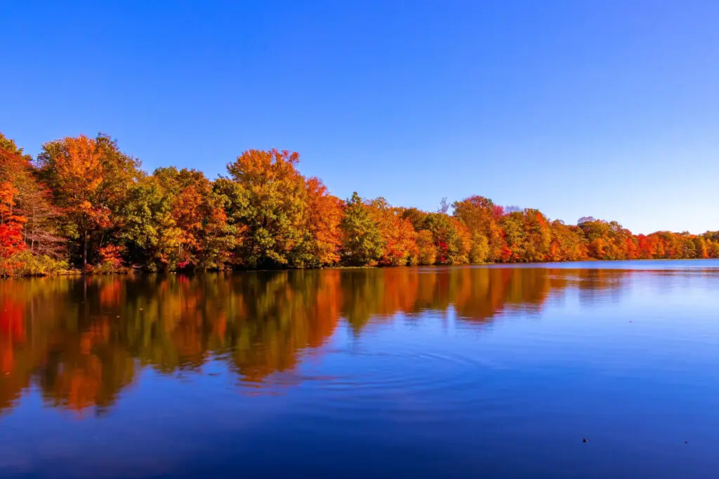 Fall Colors Along a Lake in Long Island, NY