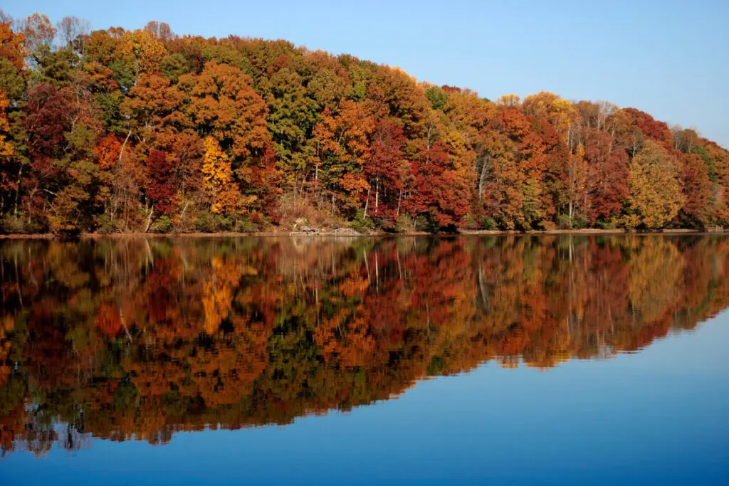 Fall Colors Reflecting Off Water