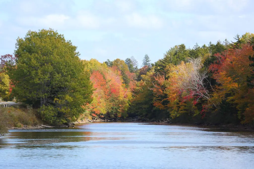Fall Colors River