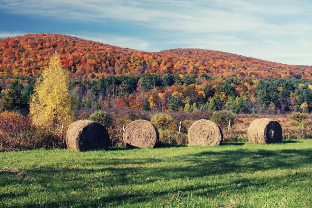 Fall Colors and Hay Bales