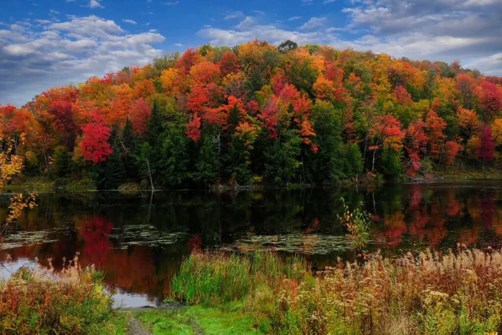 Fall Colors and Lake