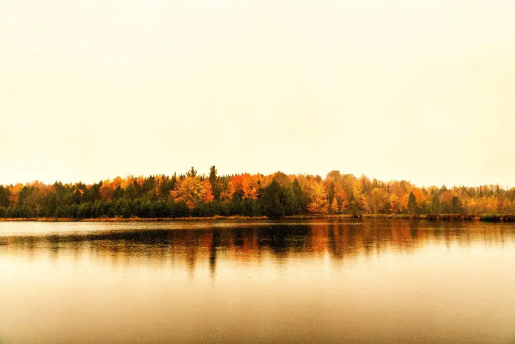 Fall Colors and Lake at Sunset