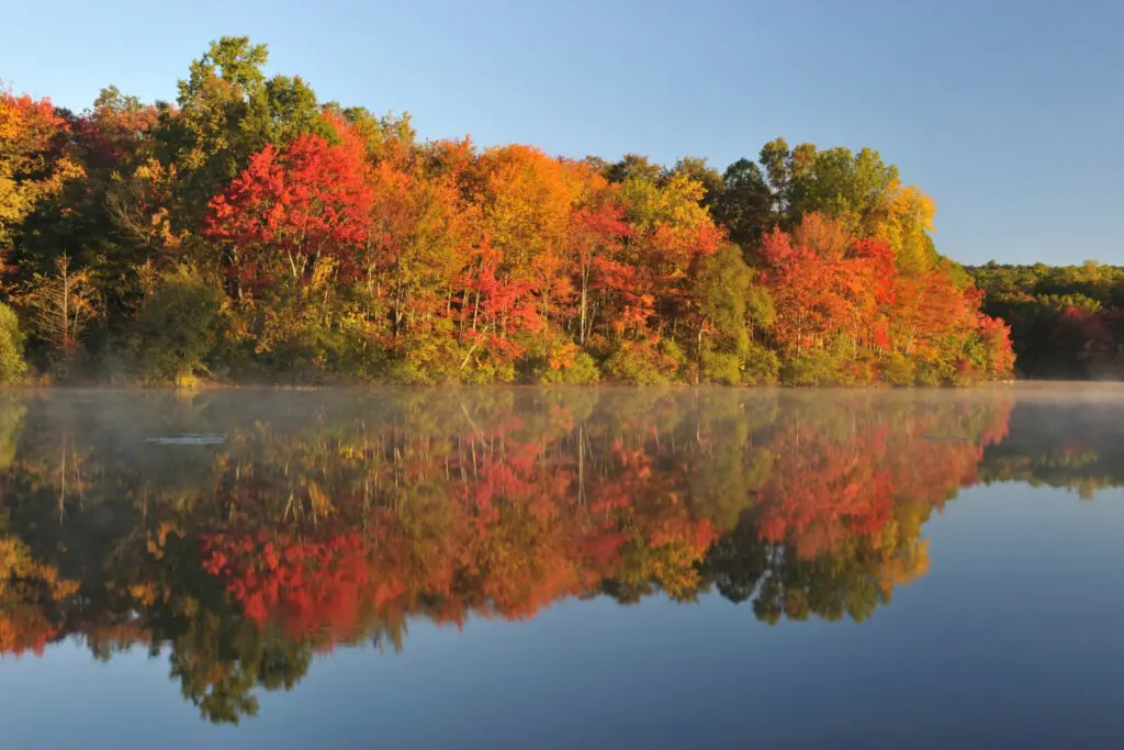 Fall Colors and Lake with Mist