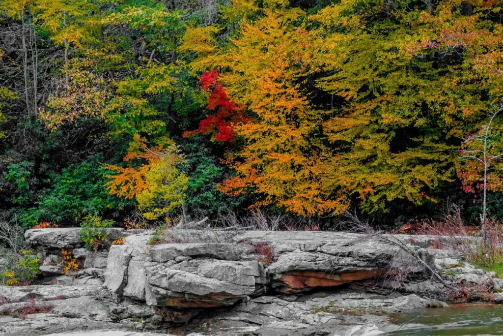 Fall Colors and Rocks