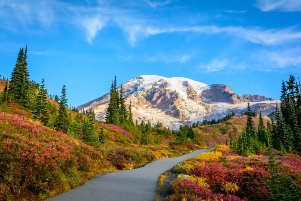 Fall Colors and Snow Covered Mountain