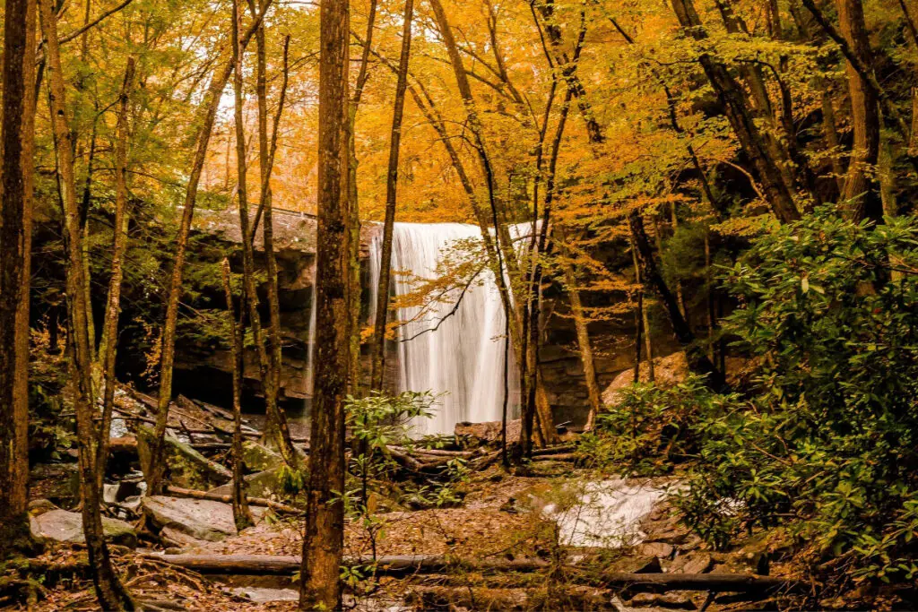 Fall Colors and Waterfall