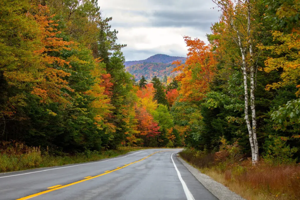 Gorgeous Fall Colors Drive