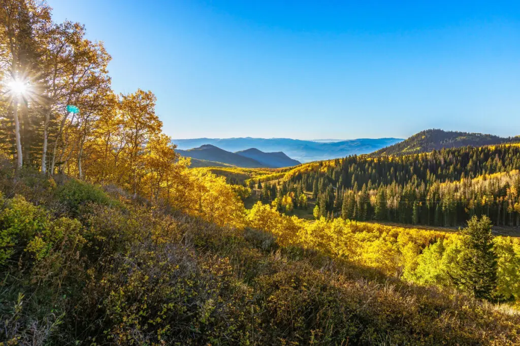 Guardsman Pass Scenic Byway Utah Fall Colors