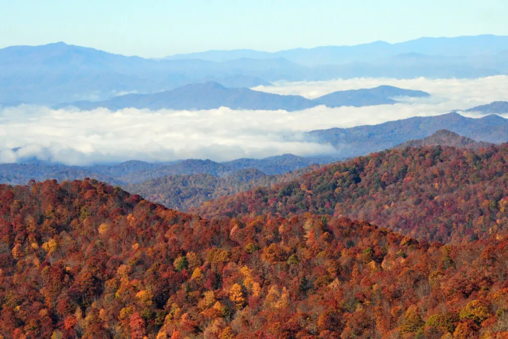 Mountains Covered with Fall Colors