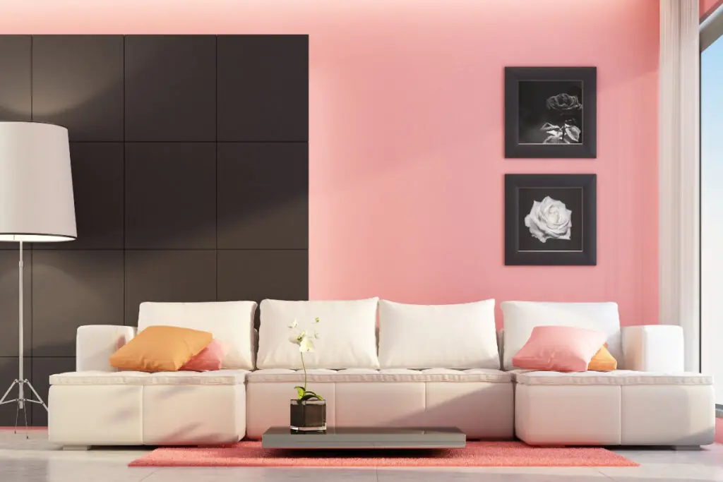 Pink, Black, and White Living Room Decor
