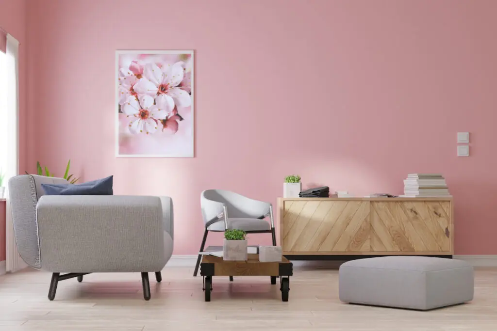 Pink Walls with Cherry Blossoms Photo
