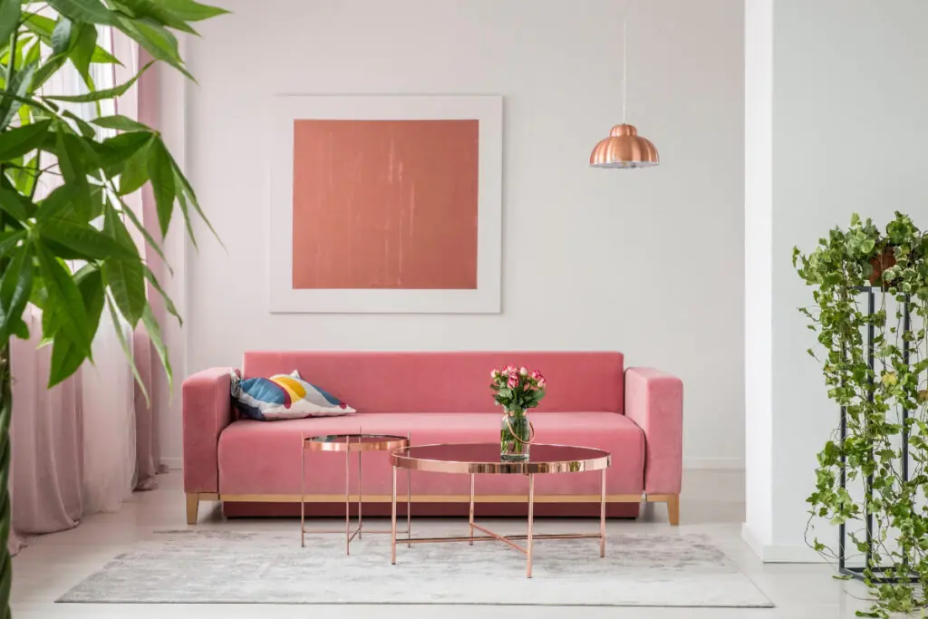 Contemporary Living Room with Pink Sofa