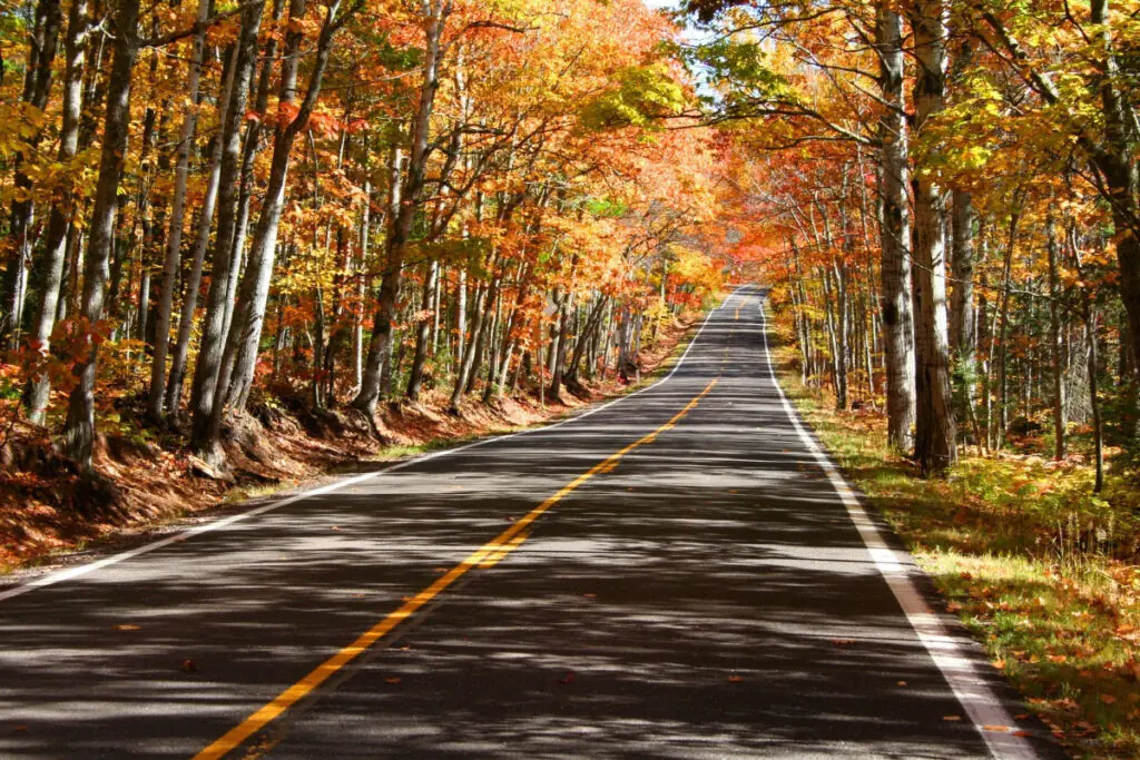 Road Through Beautiful Fall Colors