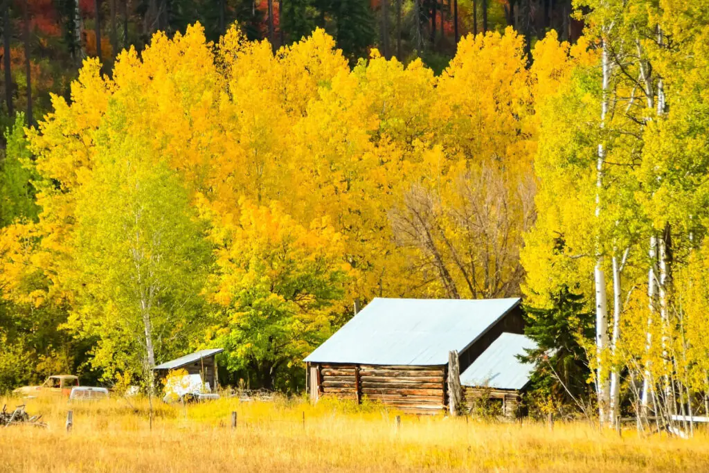 Rustic Barn Surrounded by Fall Colors