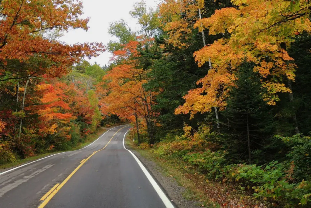 Scenic Fall Colors Road