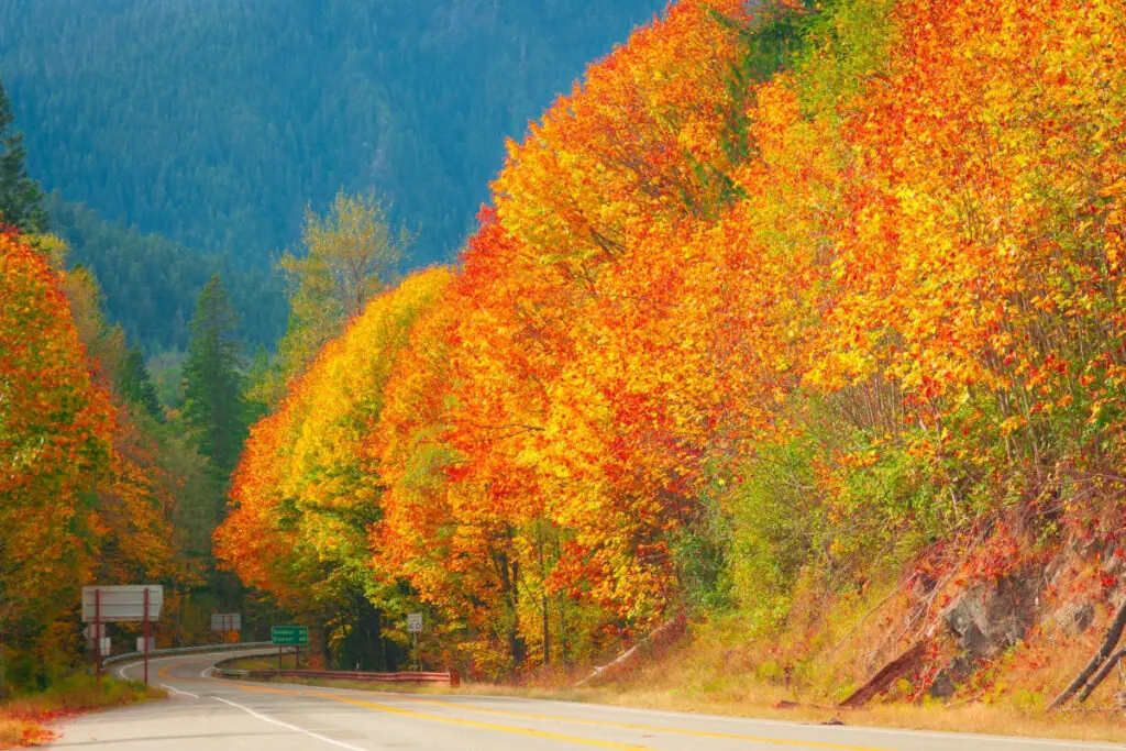 Scenic Fall Drive in Washington State