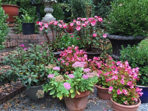 Benefits of Container Gardening