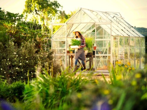 Best Garden Greenhouses