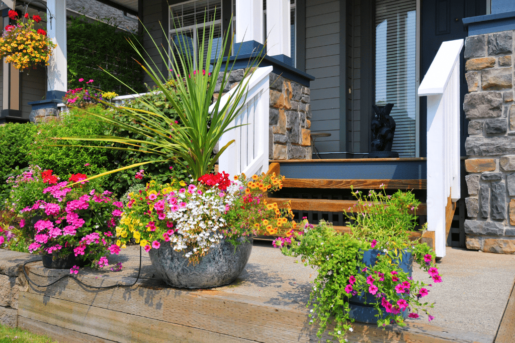 Colorful Decorative Plant Pots