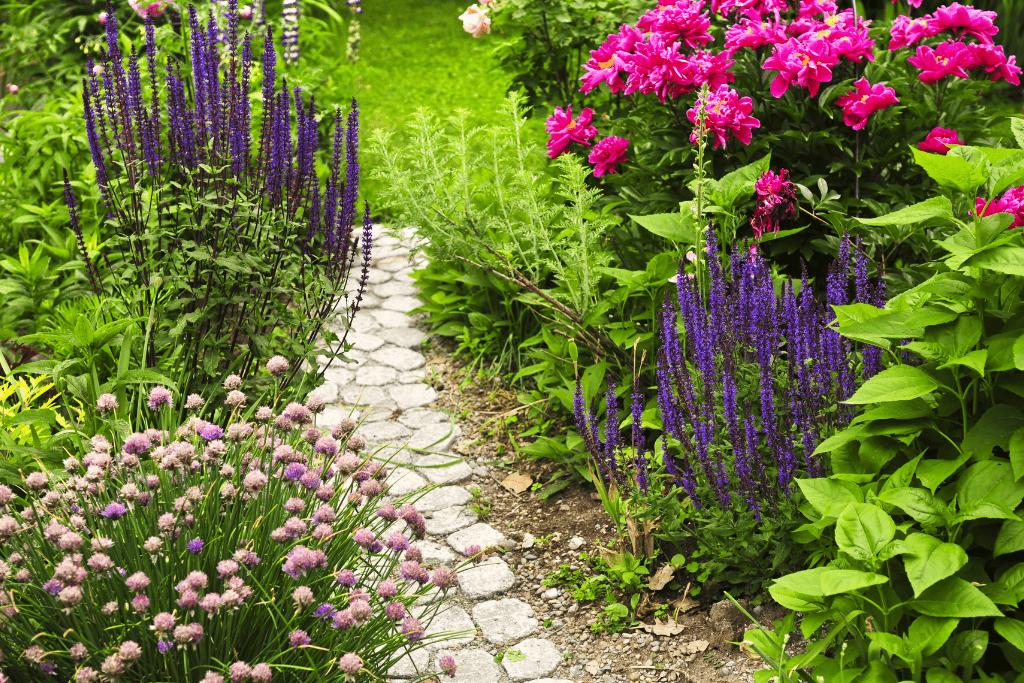 How Flowers add Color and Texture