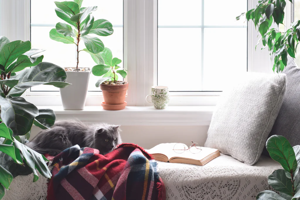 A Reading Nook in the Bedroom