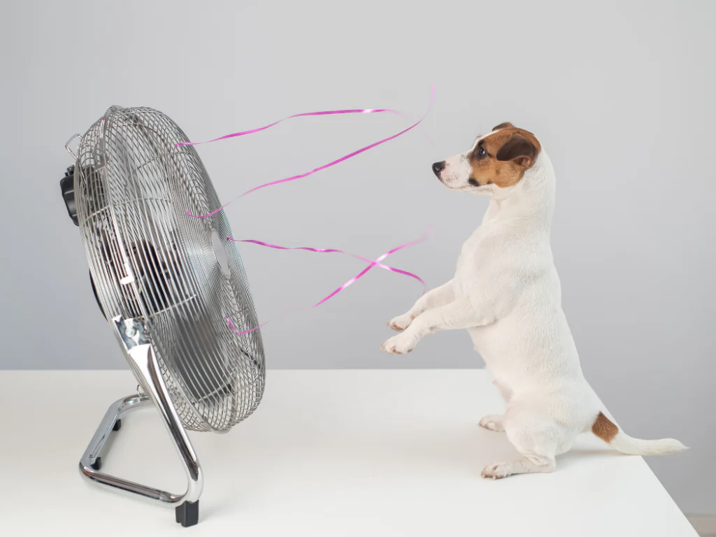 Signs of AC Problems in Your Home