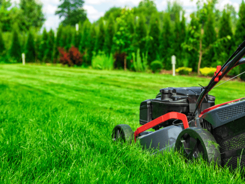 Grass Care Tips For a Beautiful, Lush Lawn