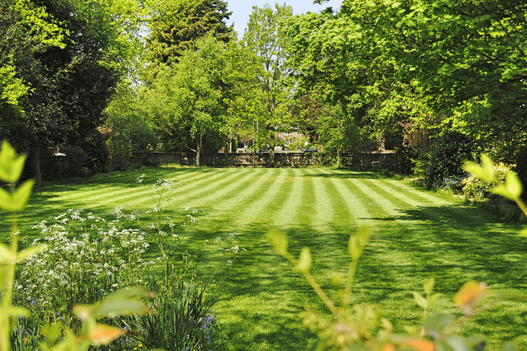 Tips on How to Get a Greener Lawn